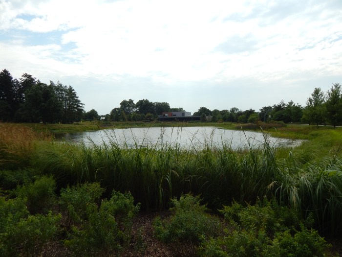 Morton Arboretum's visitor center across from Meadow lake
