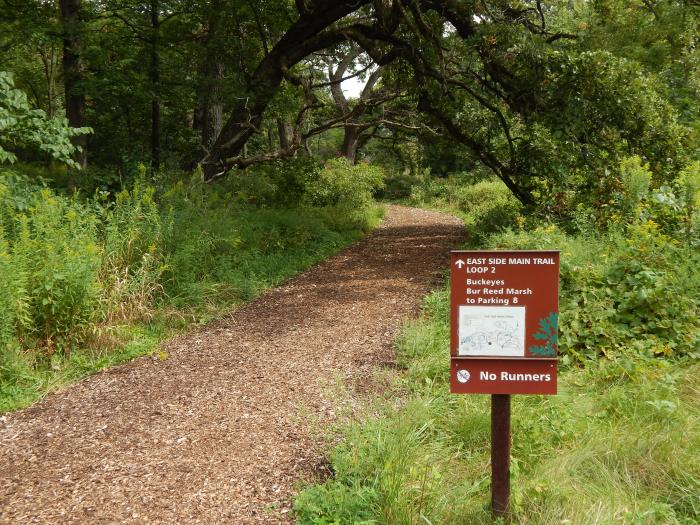 "No Runners" Bugs have the "Right of Way"