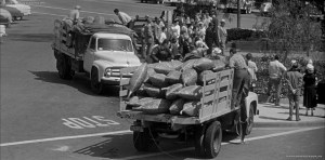 Spores en route to your home!