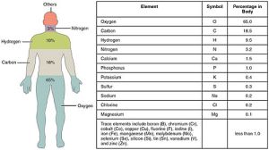 Elements_of_the_Human_Body-01