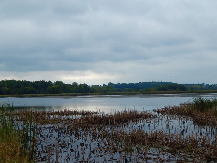 Horicon Marsh morning ©Ann Johnson Kingdom Venturers