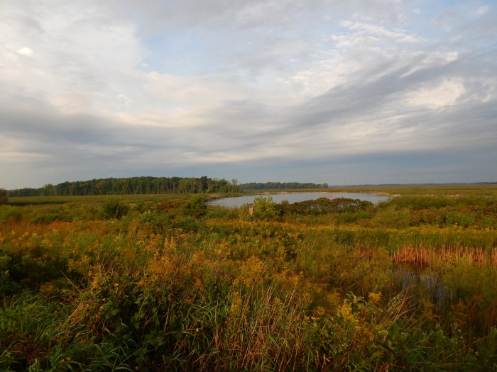 Horicon Marsh at south end looking south, near WI RT 28 ©Ann Johnson Kingdom Venturers