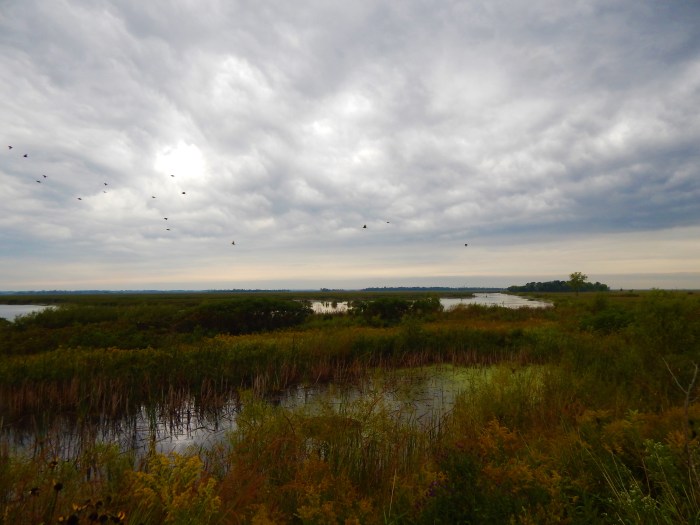 The Earth is the Lord's - Horicon Marsh, WI ©Ann Johnson Kingdom Venturers